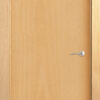 PUERTA NV HAYA VAPORIZADA BARNIZADA 2030X825X35